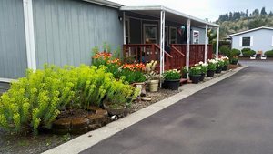 Brookhollow Rv Park Kelso Wa 1