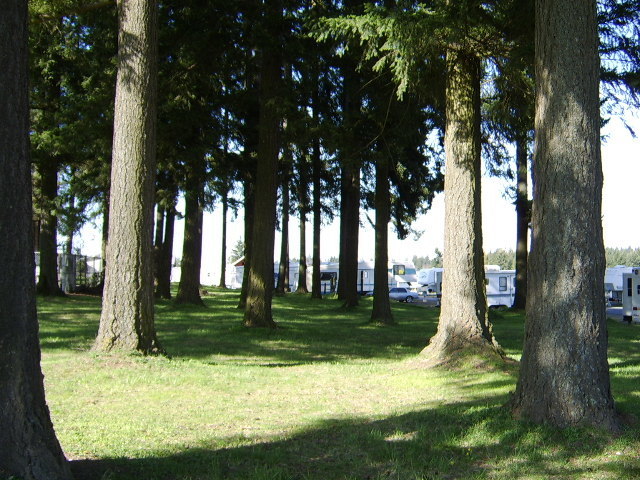 Rainier View RV Park - ( Adult ) - Graham, WA