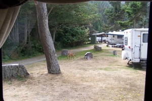 Crescent Beach   Rv Park Port Angeles Wa 1