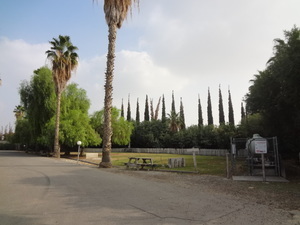 Desert Palms Mobile Home   Rv Park Bakersfield Ca 1