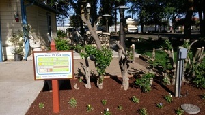 Arena Rv Park Chowchilla Ca 15