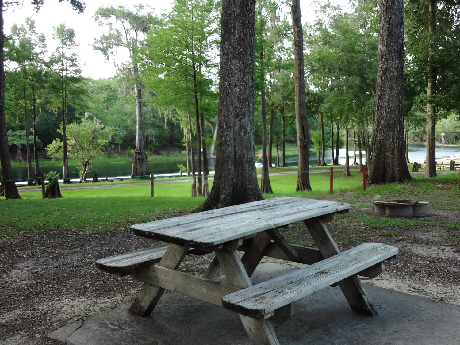 Ellie Ray’s RV Resort & Lounge - 3 Photos, 1 Reviews - Branford, FL