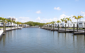 San Carlos Rv Park   Island Resort Fort Myers Beach Fl 3