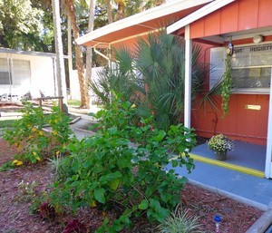 Suncoast Rv Resort Port Richey Fl 2