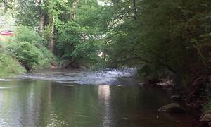 Turner Campsites Cleveland Ga 1