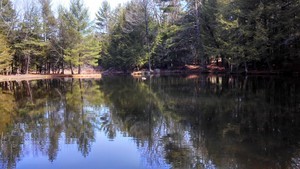 Alps Family Campground Averill Park Ny 1