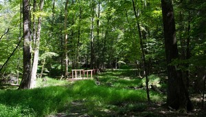 Sohi Campground Accord Ny 1