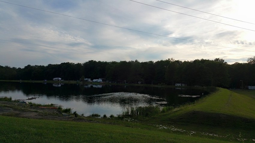 Forest Lake Campground Truxton Ny 0