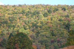 Oxbow Campsites East Branch Ny 1