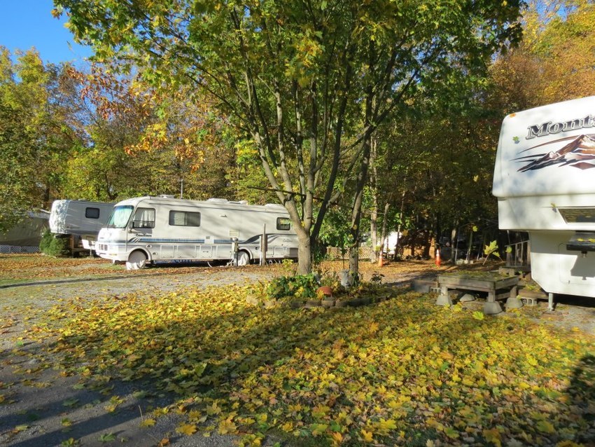 Genesee Country Campground Caledonia Ny 0