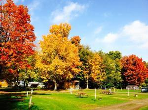 Jellystone Park Campground Mexico Ny 1
