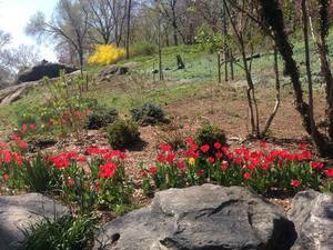 Morningside Park New York City Ny 1