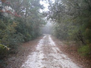 Escatawpa Hollow Campground Wilmer Al 2