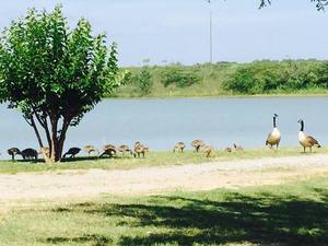 Rolling Hills Rv Park Calera Al 1