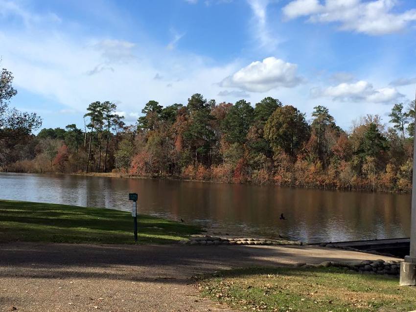 Dry Creek Reservoir and Campground Mt Olive, MS RoverPass