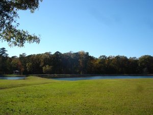 Allen Creek Resort Brandon Ms 4