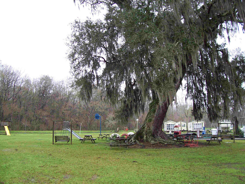 Hideaway Ponds Recreational Resort Gibson La 0