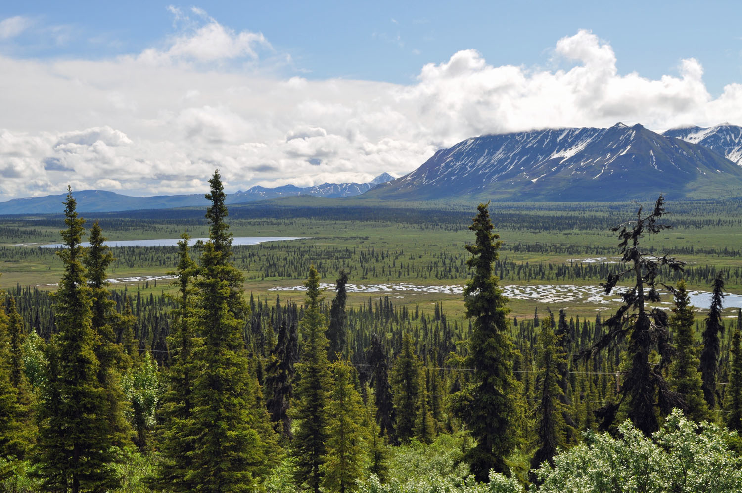 Kenny's RV Park 2 Photos Dequincy, LA RoverPass