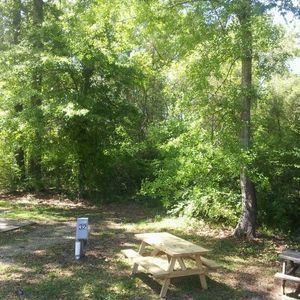 Punkin Park Campground Hammond La 1