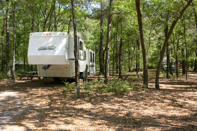 Tuck In The Wood Campground Saint Helena Island Sc 3