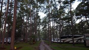 New Green Acres Rv Park Walterboro Sc 2