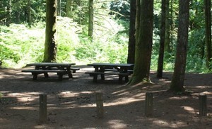 Silver Creek Campground Mount Hermon La 1