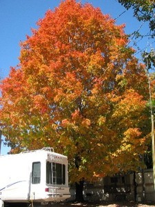 Apple Valley Travel Park Hendersonville Nc 1