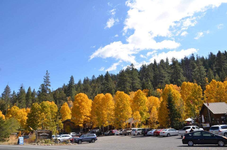 Big Bear's RV Park 3 Photos Bryson City, NC RoverPass