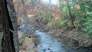 Hillbilly Campground Maggie Valley Nc 2