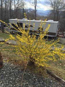 Holly Cove Rv Resort Whittier Nc 1