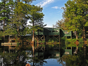 Holly Shelter Creek Burgaw Nc 1