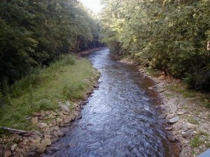 Lazy J Campground Rosman Nc 1