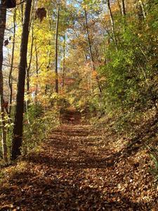 Lost Mine Campground Bryson City Nc 1