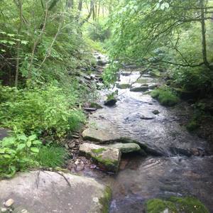 Lost Mine Campground Bryson City Nc 2