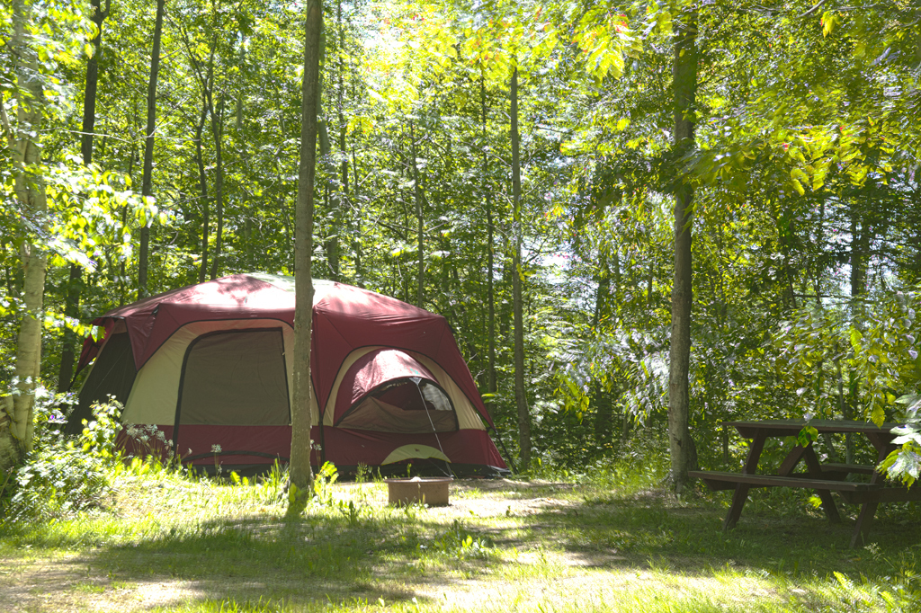 Miller's Camping 3 Photos Laurel Springs, NC RoverPass