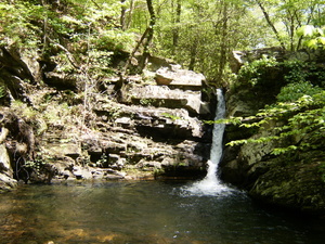 Caney Creek Kingston Ok 1