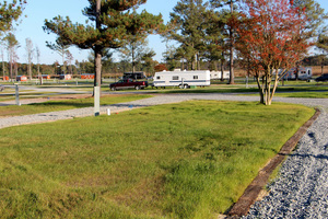 Raleigh Oaks Rv Resort Four Oaks Nc 1