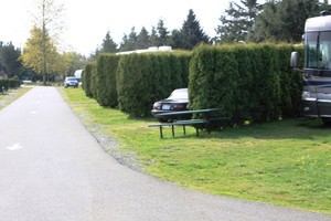 Cedar Rv Park Ione Wa 1