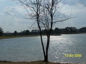 Rvacation Rv Park Selma Nc 3