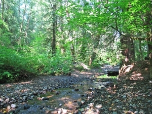 DOW Creek Resort Hoodsport Wa 1