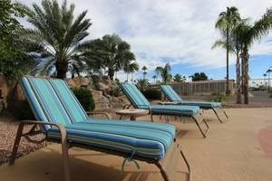 Palm Gardens  55  Park  Mesa Az 1