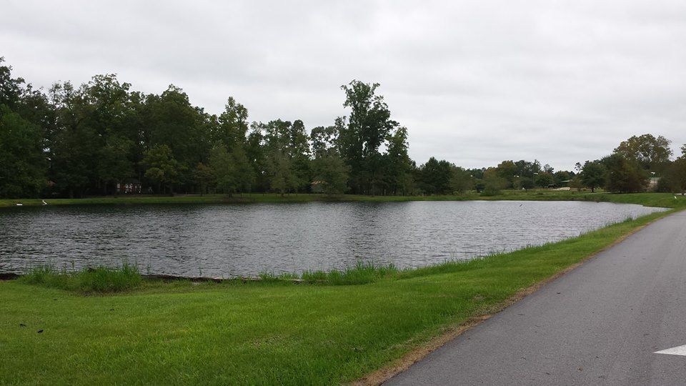 Yogi Bear's Jellystone Park™ at Daddy Joe's 4 Photos Tabor City,