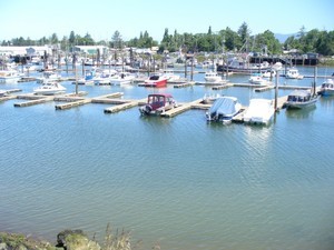 Km Resorts Columbia Shores Chinook Wa 2