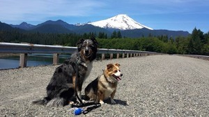 Kulshan Campground Concrete Wa 1