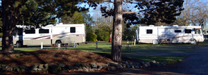 La Conner Marina Rv Park La Conner Wa 1