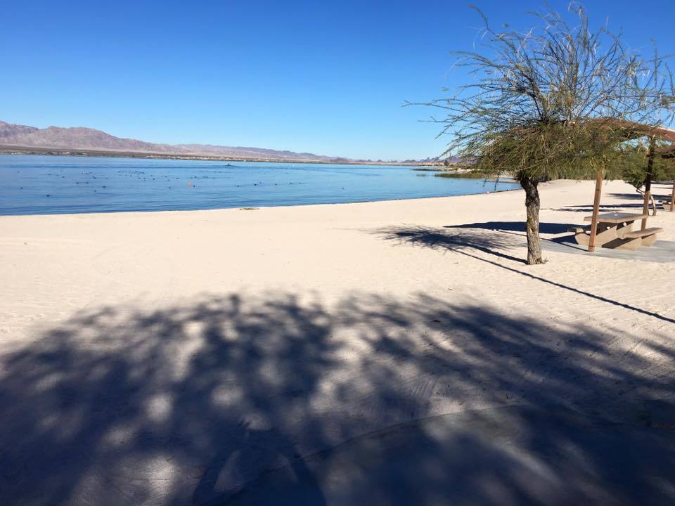 Experience A Fun Filled Day At Windsor Beach On Lake Havasu In The US