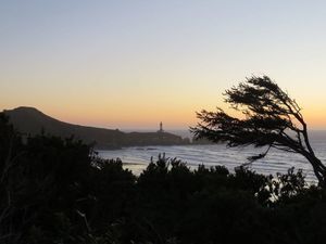 Lighthouse Rv Park Anacortes Wa 1