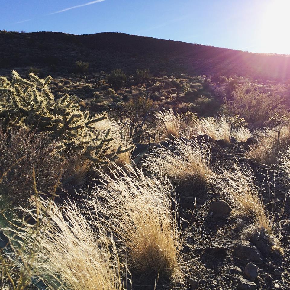 Davis Camp RV Park (Mohave County Park) 3 Photos, 2 Reviews