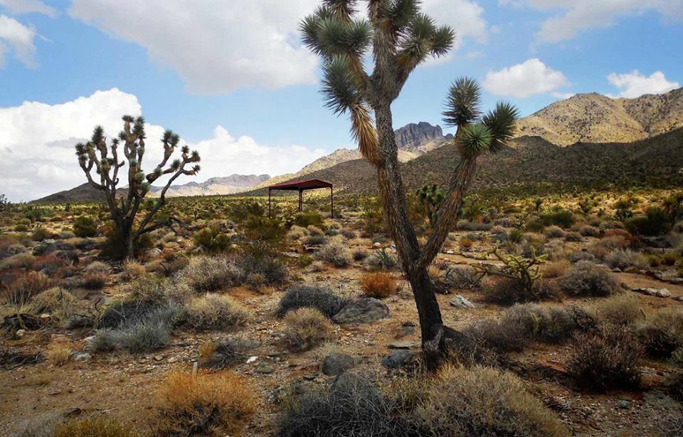 Davis Camp RV Park (Mohave County Park) 3 Photos, 2 Reviews