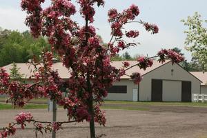 Eau Claire Co  Expo Center Eau Claire Wi 2